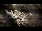 SpellForce 2 - Shadow Wars Trailer